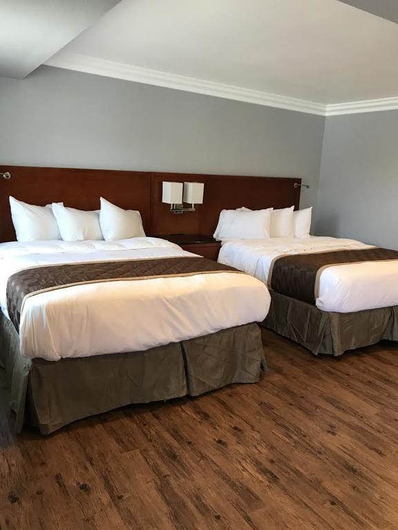 Rex Motel Ventura Eksteriør billede