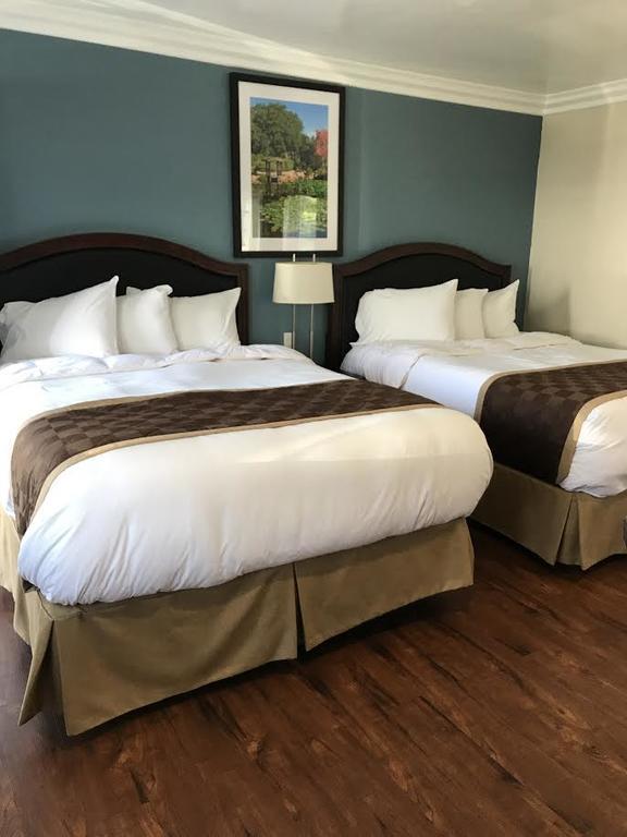 Rex Motel Ventura Eksteriør billede